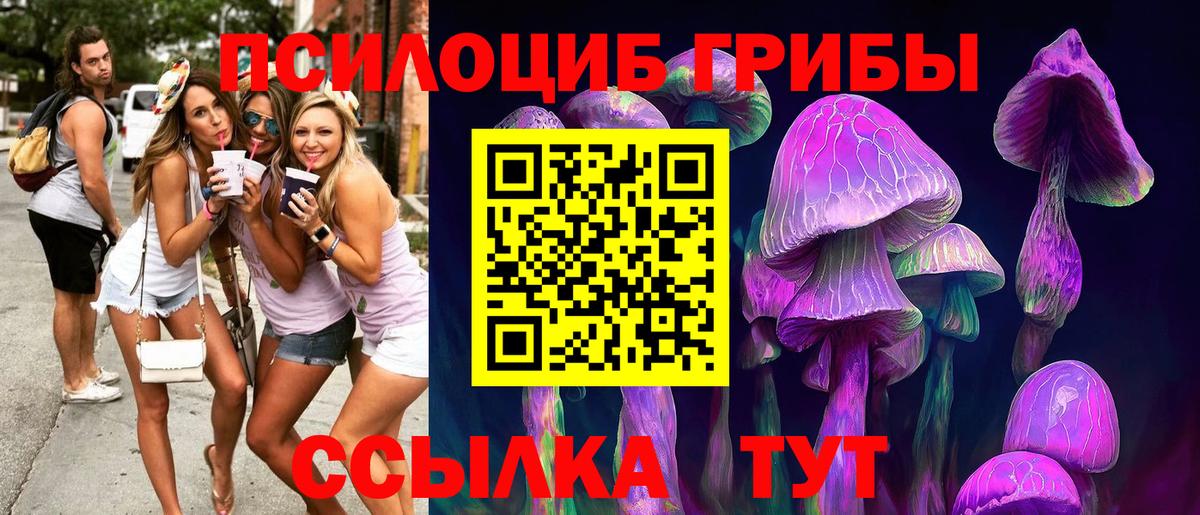 Псилоцибиновые грибы Cubensis  Вход с VPN  Галлюциногенные грибы MAGIC MUSHROOMS  Ковров 