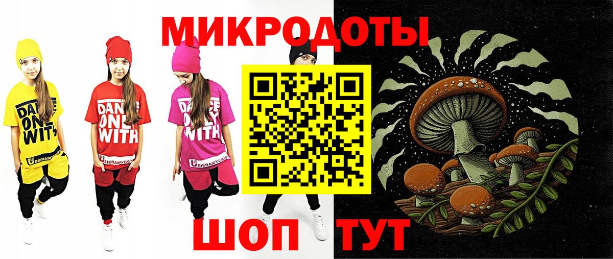 Псилоцибиновые грибы Cubensis Ковров